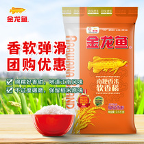 金龙鱼南粳香米软香稻2.5kg 南方大米5斤装绵软小袋装批发团购