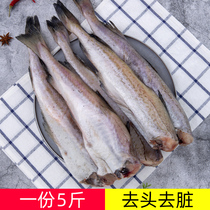 明太鱼新鲜冷冻海鱼无头鱼雪鱼冰鲜商用批发烧烤东北鳕鱼整条辅食