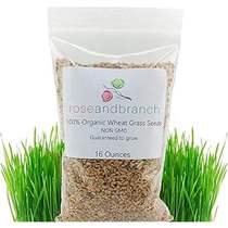 Organic Wheat Grass Seeds， Cat Grass Seeds， 16 Ounces- 10