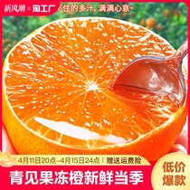 青见果冻橙新鲜橙子水果当季整箱四川孕妇非爱媛38号果冻大果优选