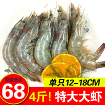 鲜活冷冻大虾对虾超大基围虾鲜活活虾海鲜新鲜冻虾海虾青虾4斤