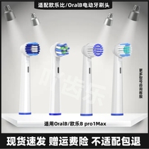 适用Oral-B/欧乐B电动牙刷头替换欧乐比D12 D16 D100 EB50P20通用