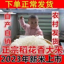 2023年新米东北大米正宗稻花香5kg黑龙江农家长粒香粳米