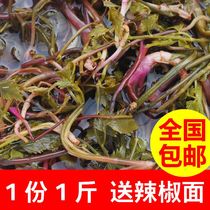 贵州农家自制特产新鲜野菜酸芹菜水泡芹菜野生芹菜下饭菜包邮