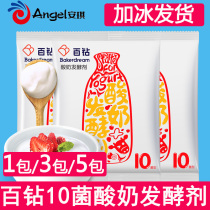 安琪酵母酸奶发酵剂10菌双歧杆菌益生菌乳酸菌菌种酸奶机发酵粉