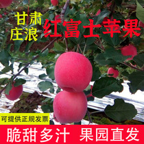 甘肃庄浪红富士苹果新鲜精品装不打蜡冰糖心特产非静宁整箱包邮