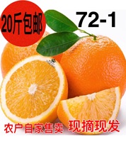 橙子新鲜水果当季孕妇四川橙子脐橙新鲜多汁大橙子脐橙现摘包邮