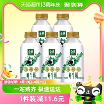 伊利金典鲜牛奶全脂高钙巴氏杀菌450ml*5瓶装低温纯牛奶