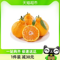 四川不知火丑橘丑柑新鲜应季水果5斤装