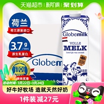 【进口】荷兰荷高全脂纯牛奶3.7优乳蛋白盒整箱装1L*6高钙早餐奶