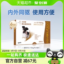 大宠爱猫狗药品狗狗驱虫药适用5.1-10kg中型犬*6支内外一体滴剂