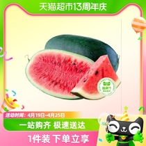 【喵满分】黑美人西瓜单果6-7斤7-8斤当季应季水果现摘新鲜瓜