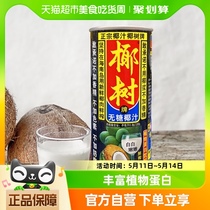 椰树牌无糖椰汁椰子汁245ml*24罐 /箱植物蛋白饮料