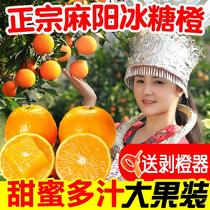2024年11月产新欢迎再来 湖南麻阳冰糖橙