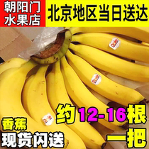 Fresh鲜果记Dole都乐超甜香蕉一串约（15-18）根进口香蕉新鲜水果