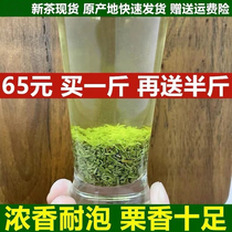 【发1.5斤】2024新茶末信阳毛尖茶叶散装碎茶雨前茶末浓香型750g