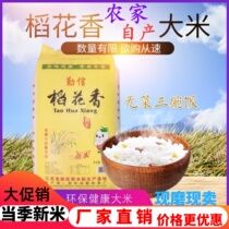 勤信米业 农家大米非稻花香10斤儿童粥米珍珠米 新米 优质香米5kg