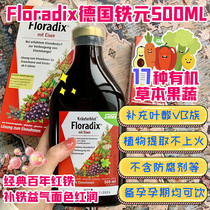 Floradix德国铁元 孕妇补铁补血口服液500ML  2款可选