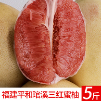 三红柚福建漳州平和琯溪红心柚子大果应季新鲜水果三红肉柚子蜜柚