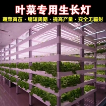 LED红蓝白植物生长灯大棚蔬菜工厂室内水培叶菜全光谱T8补光灯管