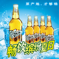 哈尔滨小麦王啤酒 黄啤酒玻璃瓶六瓶装原产地哈尔滨 整箱六瓶装