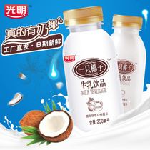 光明一只椰子牛奶250ml*24瓶整箱饮品乳制品促销最新日期包邮