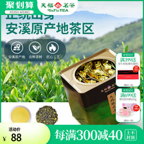 天福大铁罐铁观音茶叶 2023茶叶 安溪茶叶清香型495克