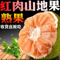 正宗泰国红肉菠萝蜜红心新鲜进口水果榴莲香非海南黄肉菠萝蜜包邮