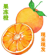 四川自然成熟爱媛38号果冻橙新鲜水果手剥橙大果当季孕妇水果农家