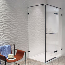 莱博顿不锈钢长方形浴室隔断玻璃门平开卫生间洗澡间浴房NWJ1231