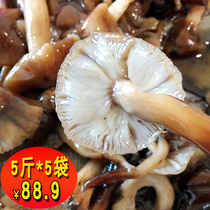 东北野生榛蘑腌制草蘑菇辽宁长白山特产食用真蘑榛蘑新鲜臻蘑珍蘑