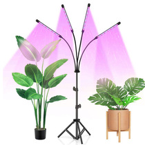 落地支架LED60W植物灯USB多头生长补光全光谱智能定园艺室内家养