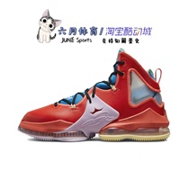 耐克 Nike Lebron 19 EP 实战篮球鞋詹姆斯19彩色鹭鸯 DQ7548-600