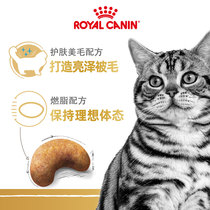 皇家猫粮美短专用成猫粮10kg 虎斑起司猫全价营养呵护肠道囤货装