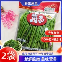 2袋X1000克含水蕨菜袋装新鲜蕨菜山野菜承德特产蕨菜凉拌爆炒均可