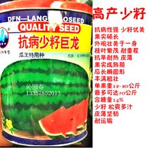 罐装正品超甜高产抗病西瓜种子少籽巨龙 蔬菜种子可达70公斤易种
