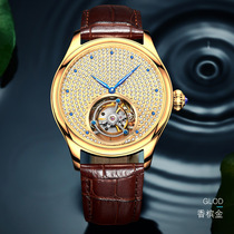 手表镂空皮带瑞士机芯品牌防水机械男时尚真皮夜光陀飞轮国产腕表