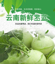 云南新鲜苤蓝 农家自种当季蔬菜叶菜类甘蓝芥兰芥菜头 3斤-9斤