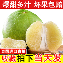 泰国青柚进口新鲜水果柚子纯甜多汁蜜柚2个青皮白心金柚孕妇青釉