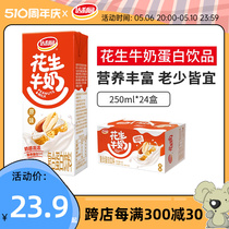 达利园花生牛奶250ml*24盒装原味营养核桃早餐奶即饮蛋白饮料整箱