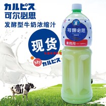 台湾原装进口可尔必思原味发酵型优酸乳牛奶浓缩汁液1.5L料理店用