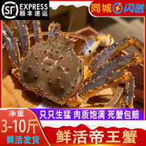 俄罗斯帝王蟹鲜活海鲜10斤超特大螃蟹包活到家新鲜水产长脚皇帝蟹