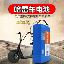 哈雷电动车电池60V48V通用外卖电动自行车电瓶大容量20ah锂电池组