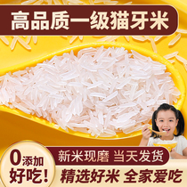 猫牙米长粒香米官方旗舰店大米2023年新米泰国香米丝苗米油粘10斤