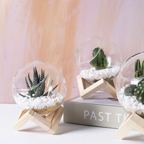 创意办公室内桌面玻璃花盆微景观多肉植物盆迷你透明花盆个性简约