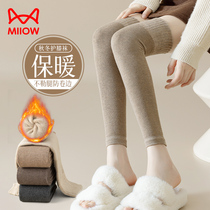 猫人过膝长筒袜子女秋冬季加厚护膝保暖护小腿袜套女士长腿高筒袜