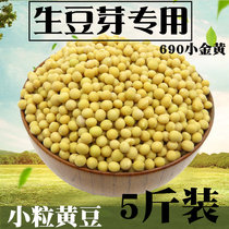 发豆芽专用小粒黄豆种子生黄豆芽豆做纳豆农家自种690小金黄5斤装