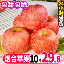 山东烟台苹果水果新鲜应当季丑苹果整箱10斤现季栖霞冰糖心红富士