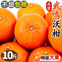 广西武鸣沃柑10斤水果新鲜当季整箱一级沙糖蜜橘柑橘砂糖橘子桔子