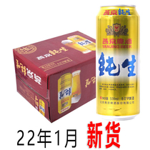 2022年1月新日期燕京啤酒金罐纯生500毫升8度6罐12罐装优惠包邮